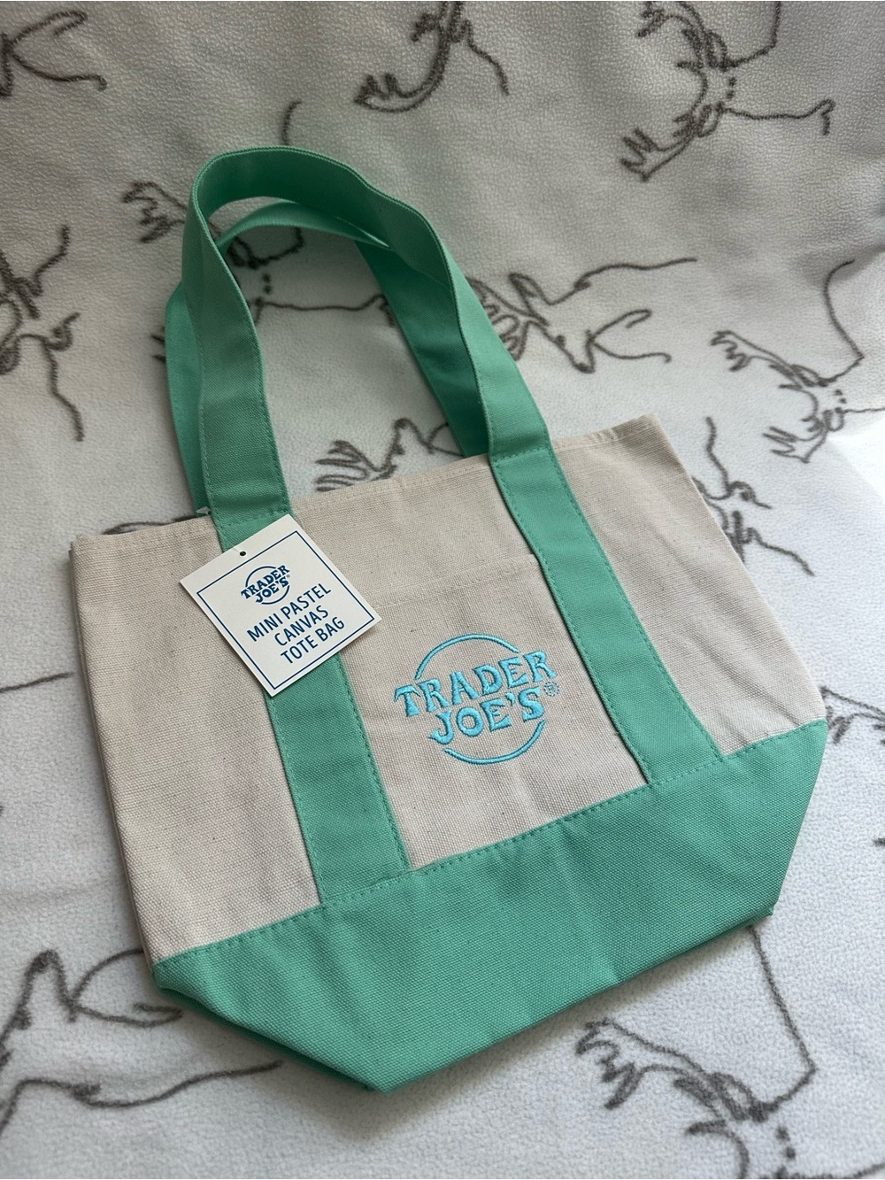 Trader Joe's Pastel Mint Canvas Mini Tote Bag
